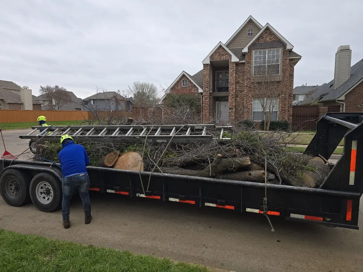 Expert Crown Reduction with proper safety equipment in Holly Grove